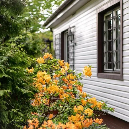 Villa Dom Z Widokiem Na Park Nałęczów Exterior foto